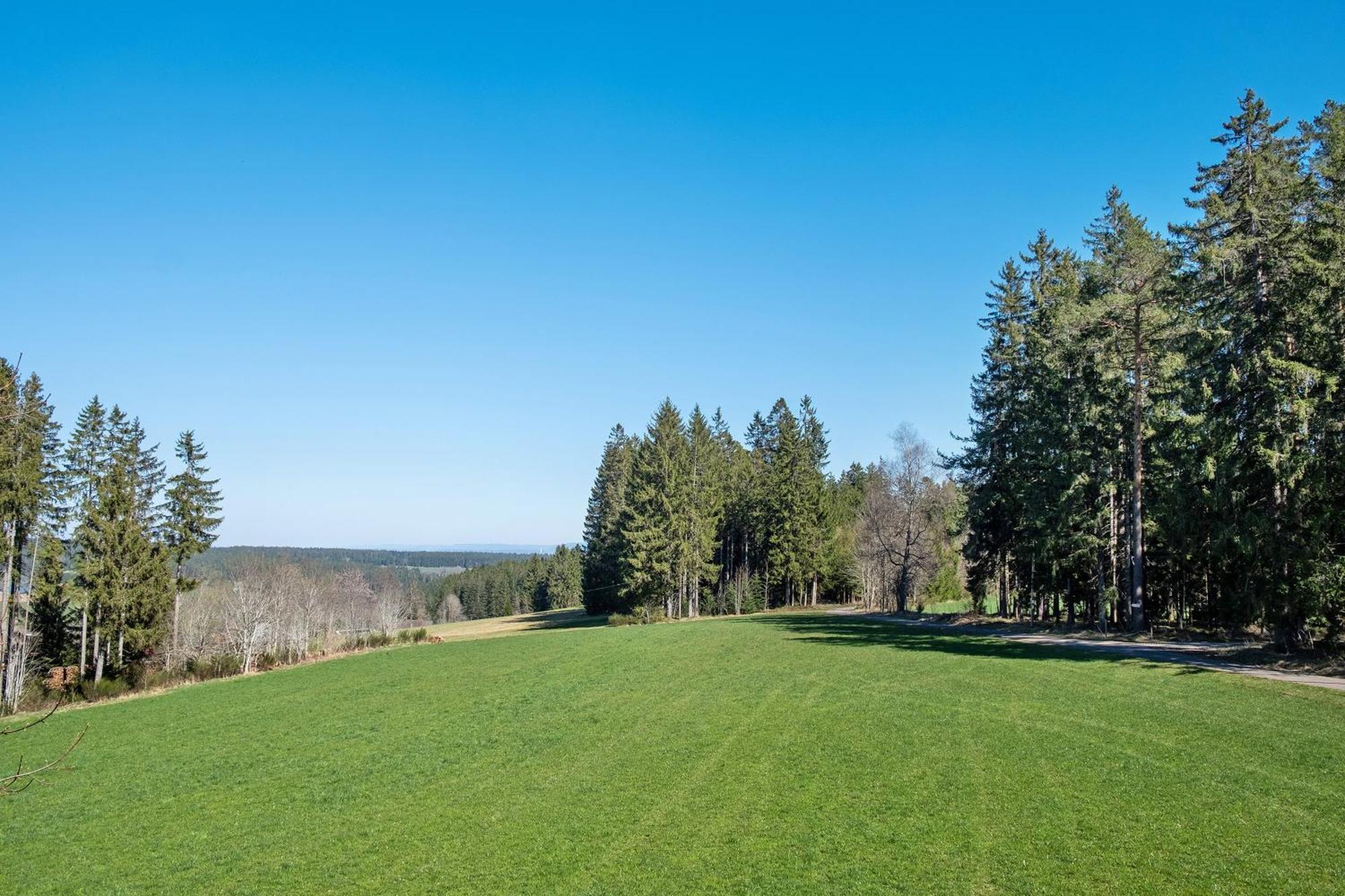 Ferienwohnung Schartenschmiede St. Georgen im Schwarzwald Buitenkant foto