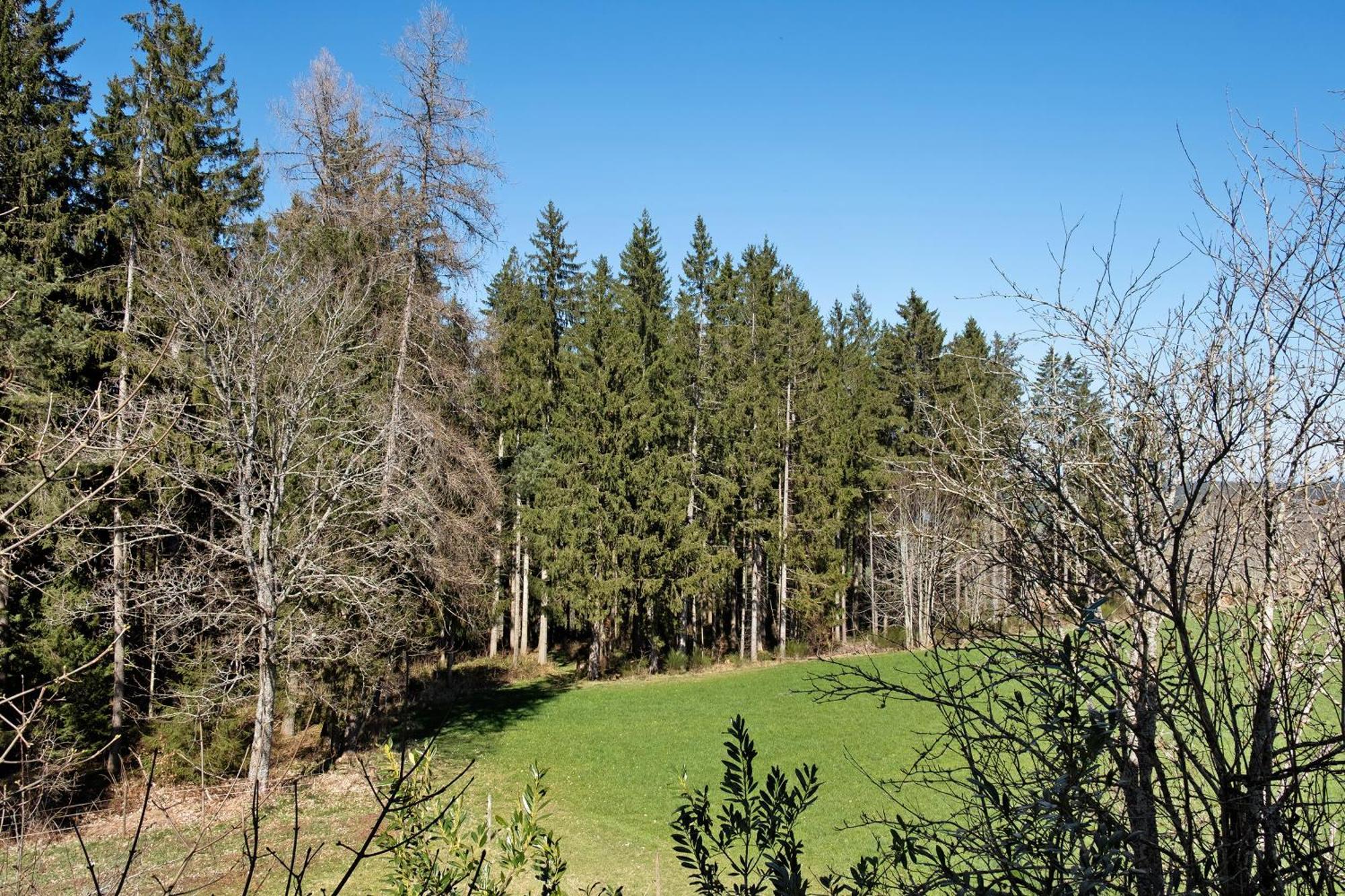 Ferienwohnung Schartenschmiede St. Georgen im Schwarzwald Buitenkant foto